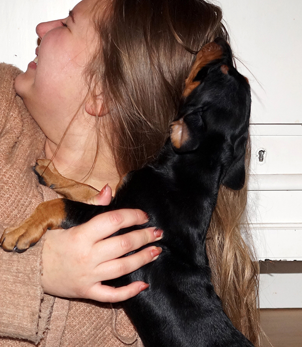 Pinscher * Xélanc Incredible Ilyssa 6 veckor